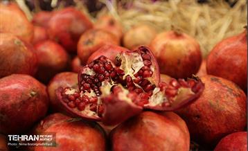 جشنواره انار در بوستان آب و آتش  15