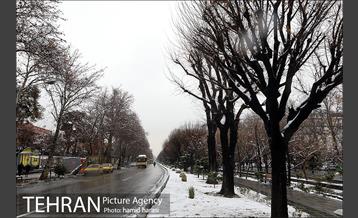 روز برفی بلوار کشاورز 21