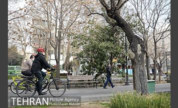 پویش سه شنبه های بدون خودرو 15