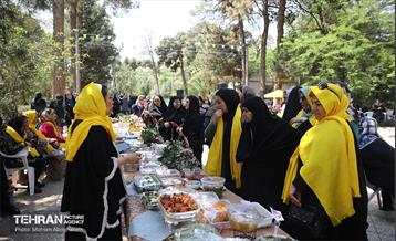 جشنواره غذای سالم 11