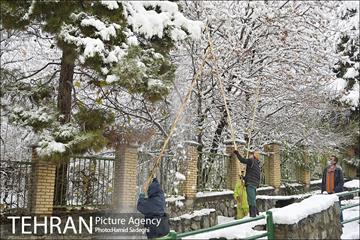 طبیعت برفی شمال تهران 10