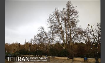 پارک ملت در یک روز زمستانی 13