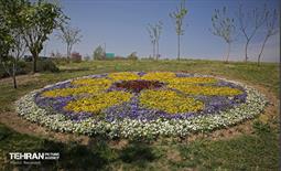 هوای بهاری منطقه 5 40