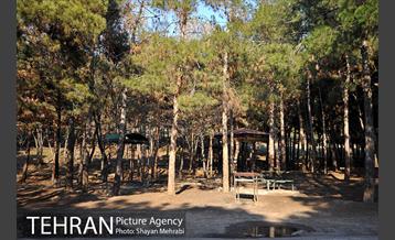 پارک جنگلی سرخه حصار 41