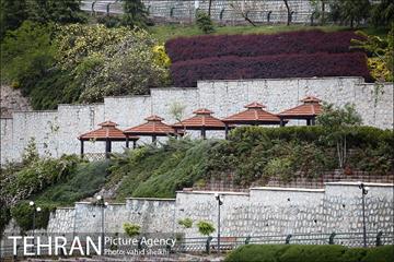 بوستان نهج البلاغه در یک روز بارانی 2
