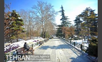 فصل زمستان در بوستان ملت 8