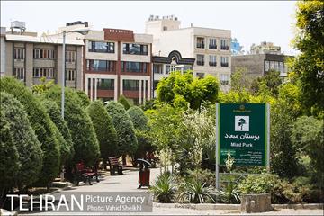 بوستان میعاد 26