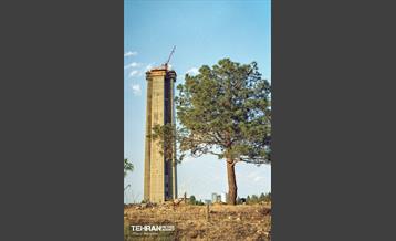 وقتی هنوز میلاد نبود 6