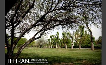 بوستان آزادگان 11