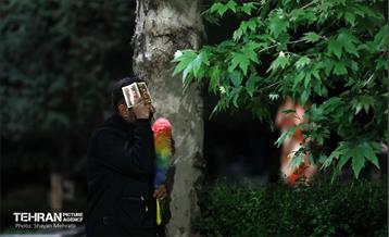 مراسم احیای شب بیست‌وسوم در دانشگاه تهران 2