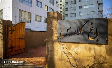 باغ گلاریس 2