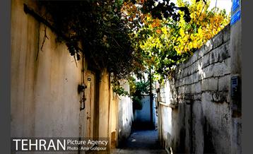 گذری در کوچه پس کوچه های محله کن‎ 9
