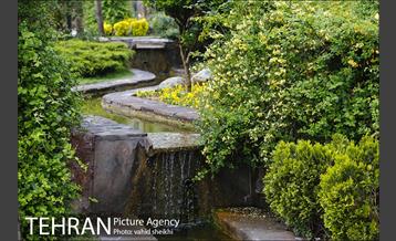 بوستان نهج البلاغه در یک روز بارانی 30