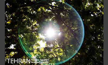 لاله های بوستان یاسمن 5