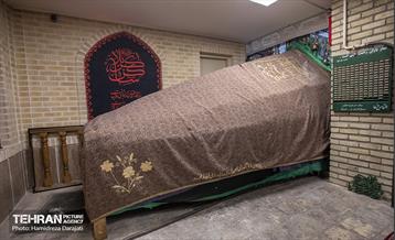 نخل تکیه نیاروان