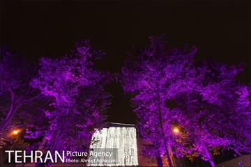 نورپردازی درختان بلوار میرداماد 21