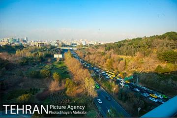 پاییز پل طبیعت 14