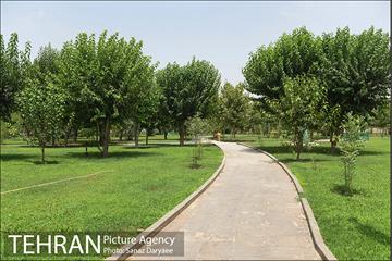 بوستان پردیس بانوان 20