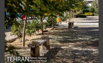 بوستان شهدای ارتش 10