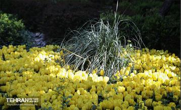 بازدید اصحاب رسانه از باغ ایرانی 4