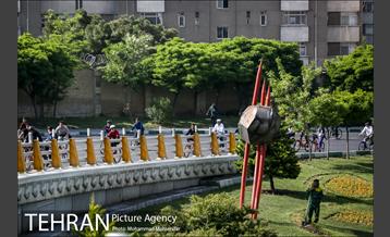 همایش دوچرخه سواری 13