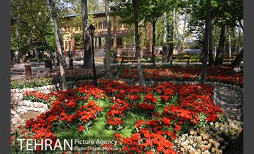 رویش گل های لاله در باغ ایرانی 32