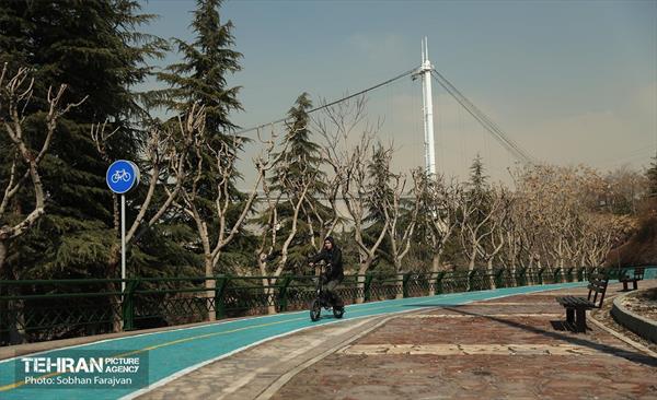 مسیر سرزندگی