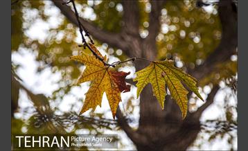 پاییز زیبای منطقه کن 4