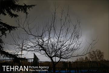 پارک ملت در یک روز زمستانی 11
