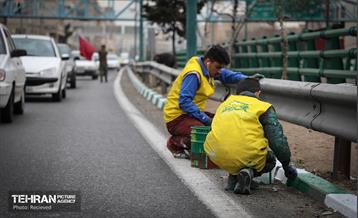 طرح بهار جان‌ها در منطقه 8 13