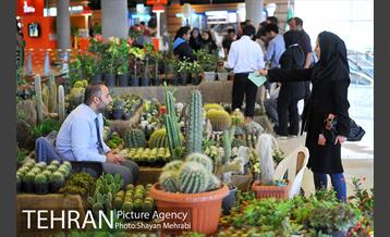 نمایشگاه بین المللی گل و گیاه 11