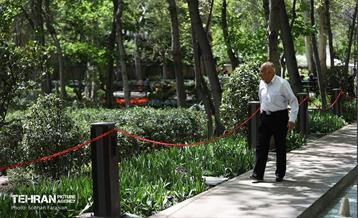 باغ ایرانی میزبان لاله‌ها 18