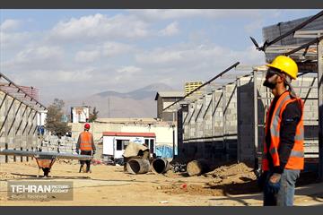 اینجا کارگاهه؛ بازار پرندگان خلیج فارس 15