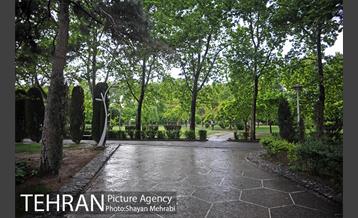 بوستان لاله 8