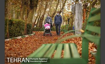 سمفونی برگ های پاییزی 16