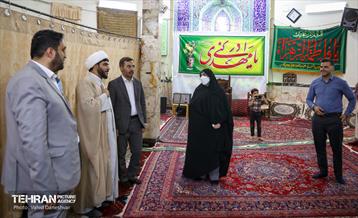 بازدید نرگس معدنی پور از منطقه 17