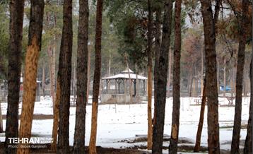 روز برفی در بوستان جنگلی سرخه‌حصار 6