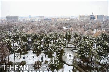 روز برفی تهران در پارک شهر 27