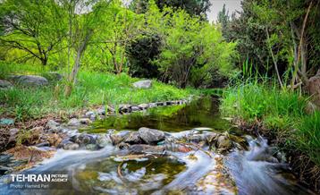 باغ گیاه‌شناسی 25