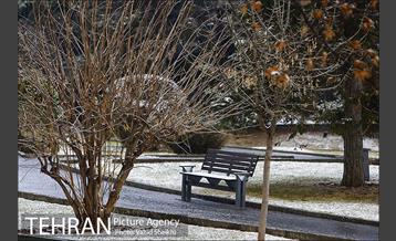 بارش برف در شمال تهران 4