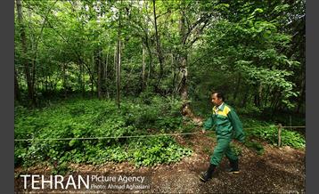 باغ گیاه‌شناسی ملی ایران 12