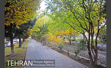 طبیعت پاییزی بلوار کشاورز 7