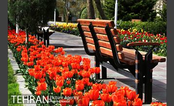 طبیعت بهاری بوستان پلیس  13