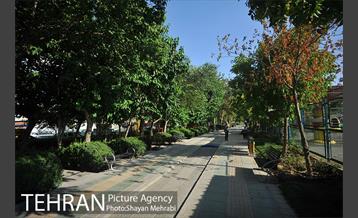 بوستان المهدی 11