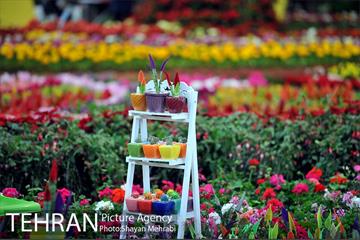 شانزدهمین نمایشگاه بین المللی گل و گیاه تهران - 2 9