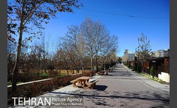 بوستان پلیس 29