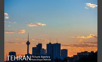 شب های تهران 25