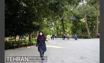 طرح پاکسازی پارک شهر تهران از فیلترهای سیگار  19