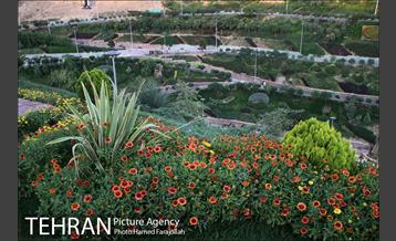 تفریح و نشاط در فاز دوم بوستان نهج البلاغه‎ 23