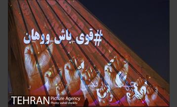 اکران تصاویری بر برج آزادی تهران برای همدردی با ملت چین 10